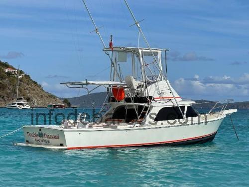Bertram 31 Sportfish ficha-técnica e avaliações